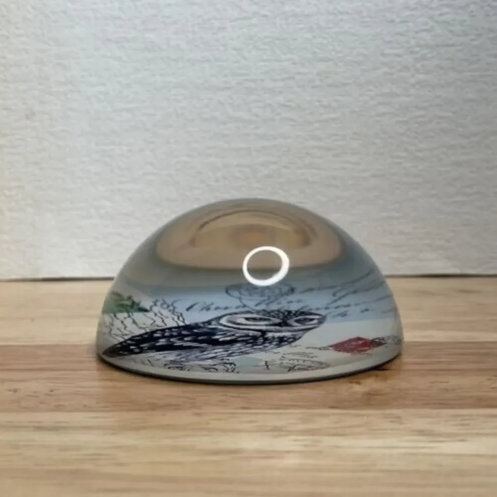 Vintage Art Glass Owl Print Living Wisdom Dome Round‎ Paperweight 1.3
